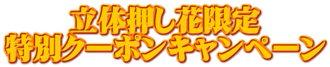 立体押し花限定 特別クーポンキャンペーン