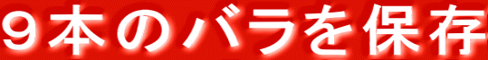 9本のバラを保存